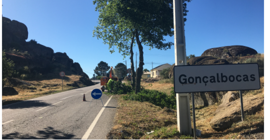 Poda de &aacute;rvores na E. N. 16 - Gon&ccedil;alo Bocas